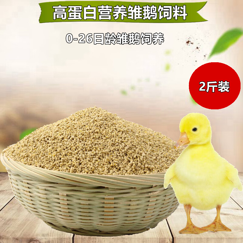 鹅苗孵化技术更新与趋势