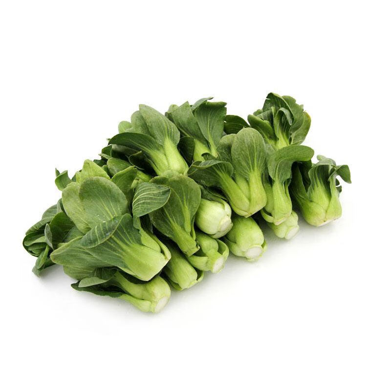 源外现摘冻伤青 新鲜蔬菜 冻伤崇明青菜 无上海矮脚菜 小青菜 净重