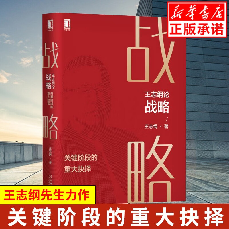 王志纲论战略:关键阶段的重大抉择 中国式战略 王志纲 定位 龙永图 知行合一 沉淀30【正版】现货