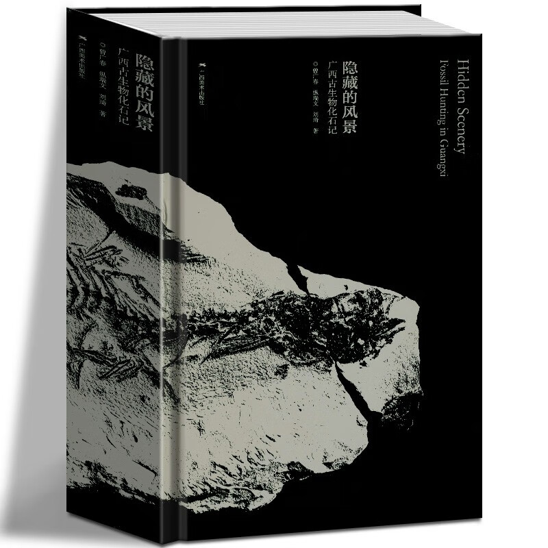 隐藏的风景广西古生物化石记 曾广春 著 广西美术出版社