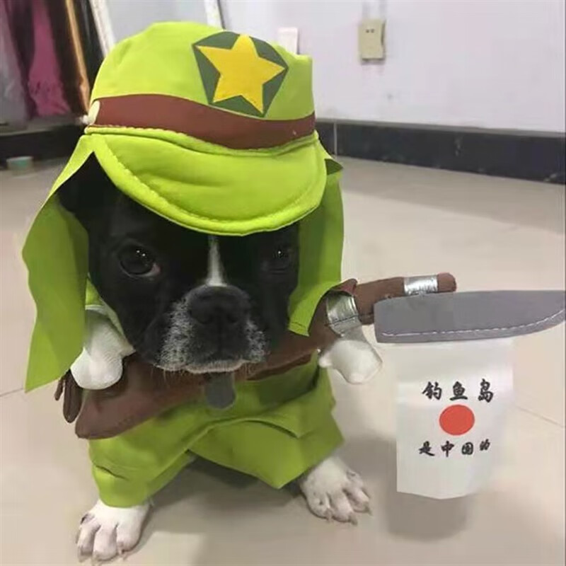 狗狗网红搞怪搞笑衣服恶搞幼猫抖音春夏可爱泰迪柯基柴犬 倭寇变身装