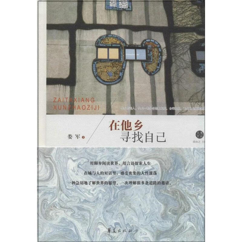 在他乡寻找自己 娄军【书】