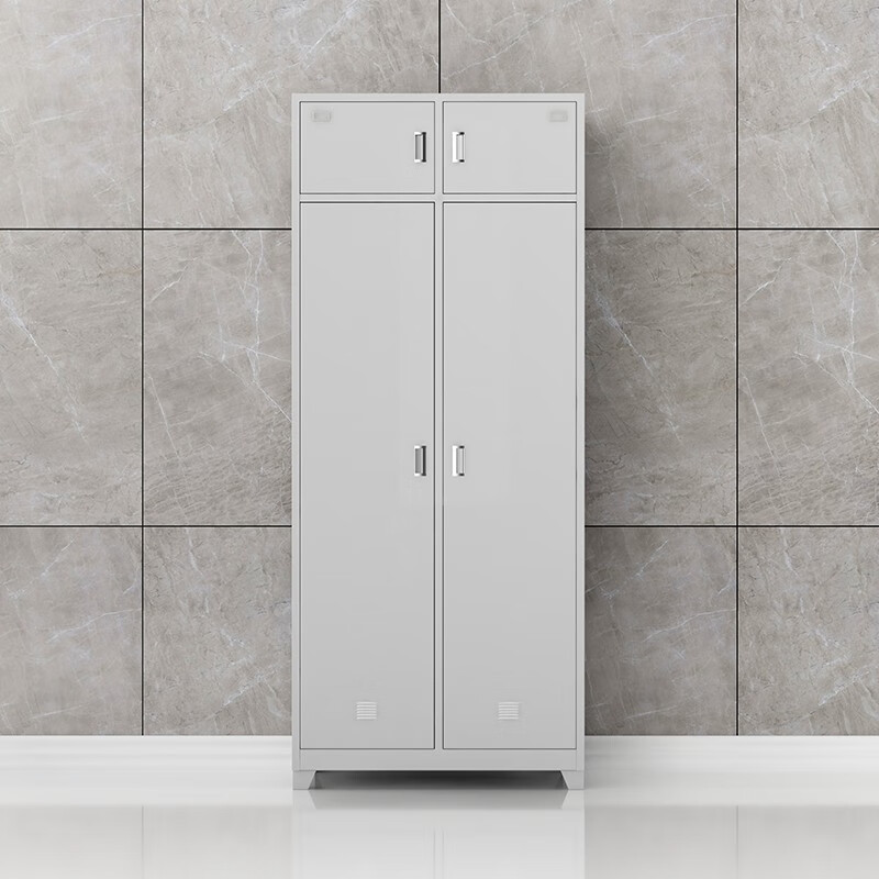 臻远 zy-zsyj-001 全钢柜存储柜工厂休息室员工钢制储物柜 两门物品柜