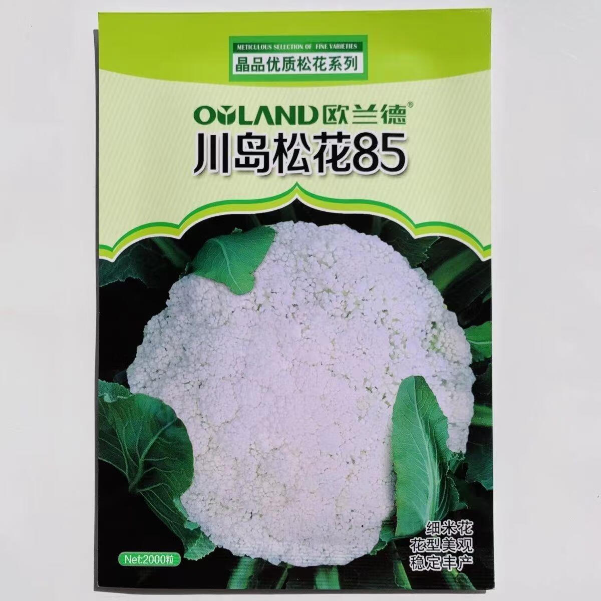 花嫁衣欧兰德松花菜种子川岛松花85花菜种子高产花椰菜种子耐寒耐湿