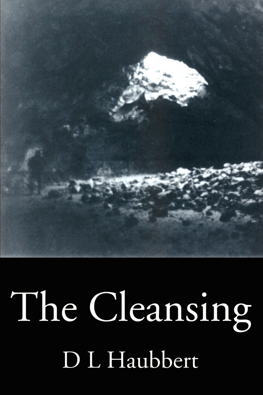 预售 按需印刷 the cleansing