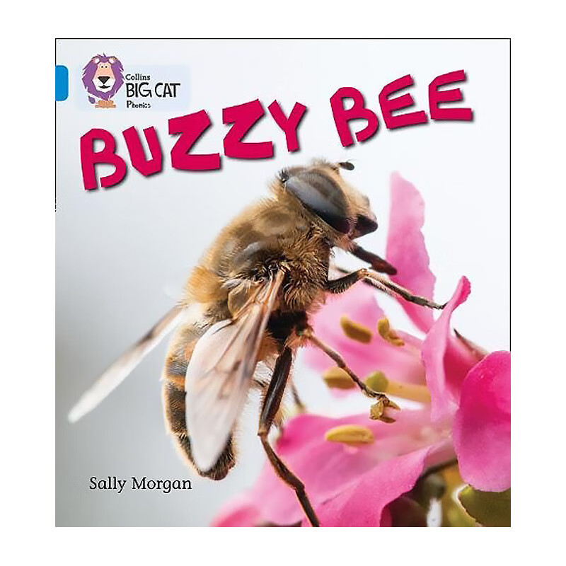 【中图原版】collins big cat phonics 柯林斯大猫 buzzy bees ban
