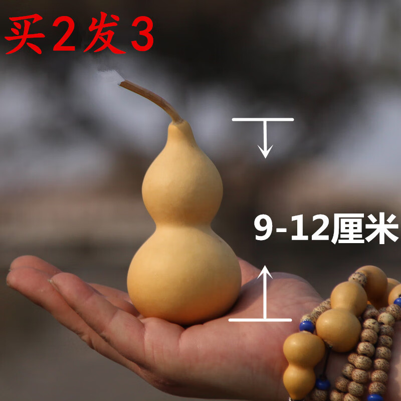 大葫芦摆件带龙头吉祥寓意室内悬挂文玩小葫芦 9-12厘米形状好(带藤)