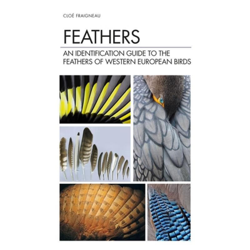 预订 Feathers: An Identification Guide to the Fea...