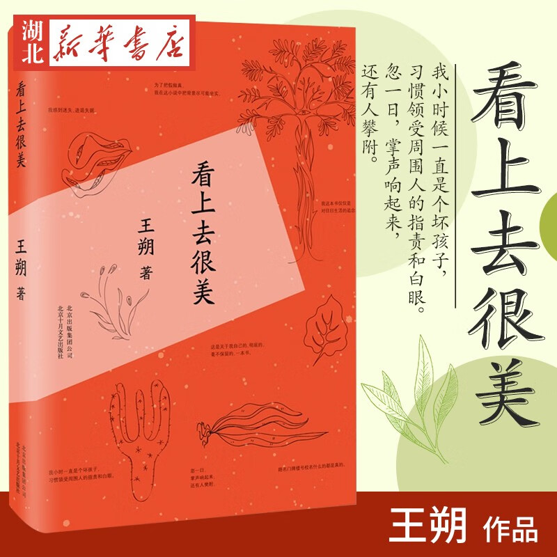 看上去很美(2015版)王朔精选长篇小说代表作 中国现当代文学经典文学