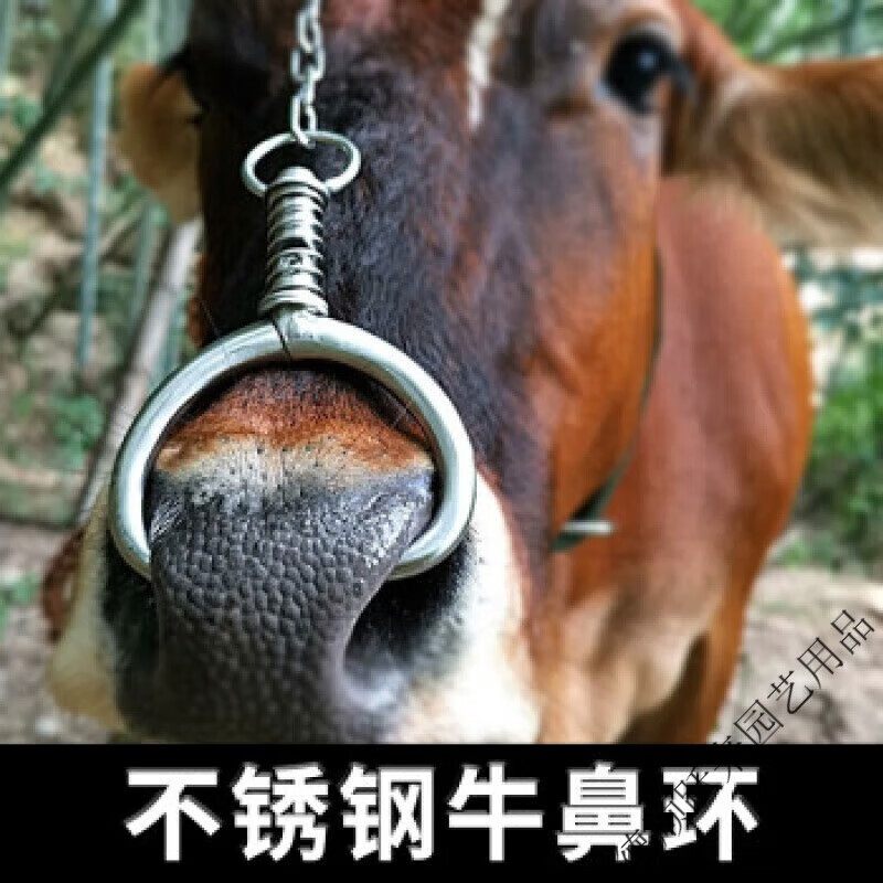 云珀牛鼻环不锈钢牛鼻钳牛鼻圈中小号牛鼻子锁环金属养牛用特大号牵牛