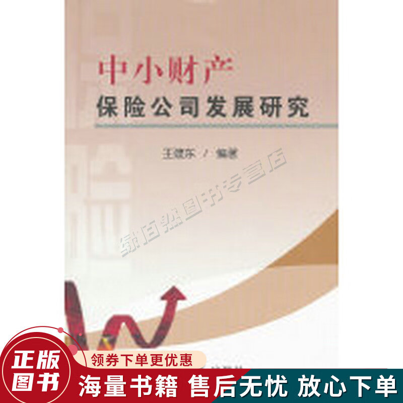 中小财产保险公司发展研究