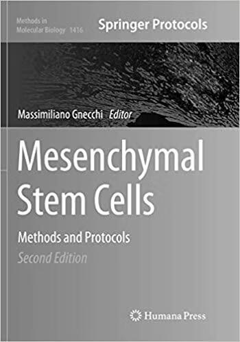 预订Mesenchymal Stem Cells: Methods and Protocols