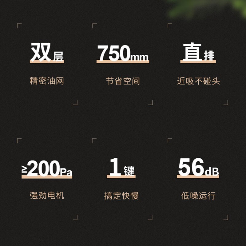 樱雪(INSE) 家用侧吸式抽油烟机 壁挂式吸油烟机 排烟机大吸力 H1221W(Q)