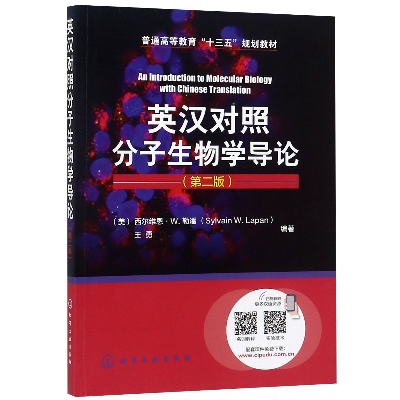 【正版】英汉对照分子生物学导论(第2版普通高等教育十三五规划教材)