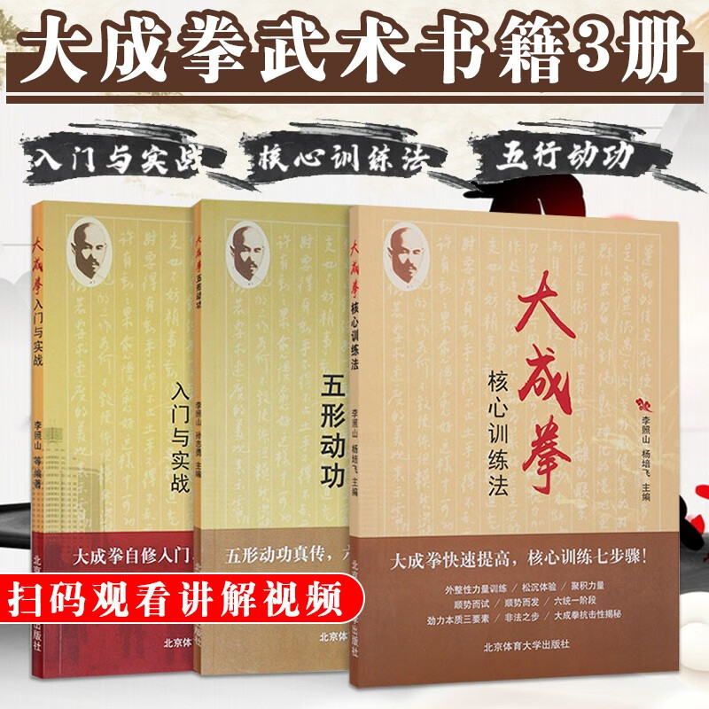大成拳武术书籍3册 大成拳五形动功+大成拳核心训练法+大成拳入门与实战 运动健身书籍养生书籍