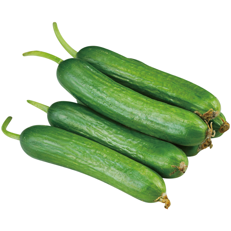 壽禾 水果黃瓜種子種苗強(qiáng)雌青瓜蔬菜種籽 綠月水果黃瓜種子100粒/袋*2