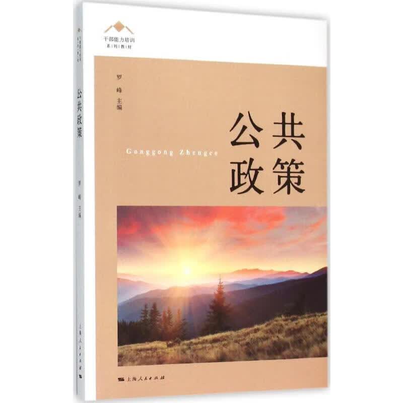 公共政策