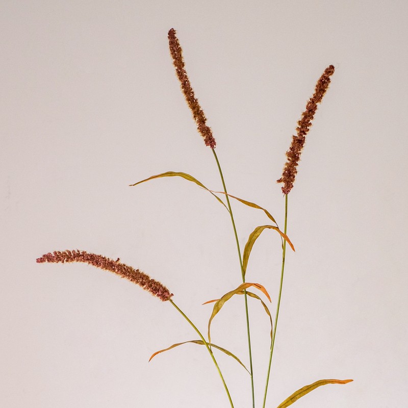 掬涵 仿真花狗尾巴草3头芦苇稻谷干花客厅橱窗装饰花艺复古摆设 仿真
