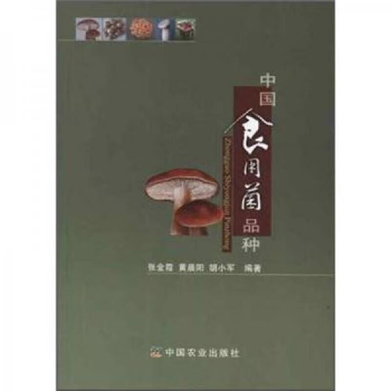 中国食用菌品种