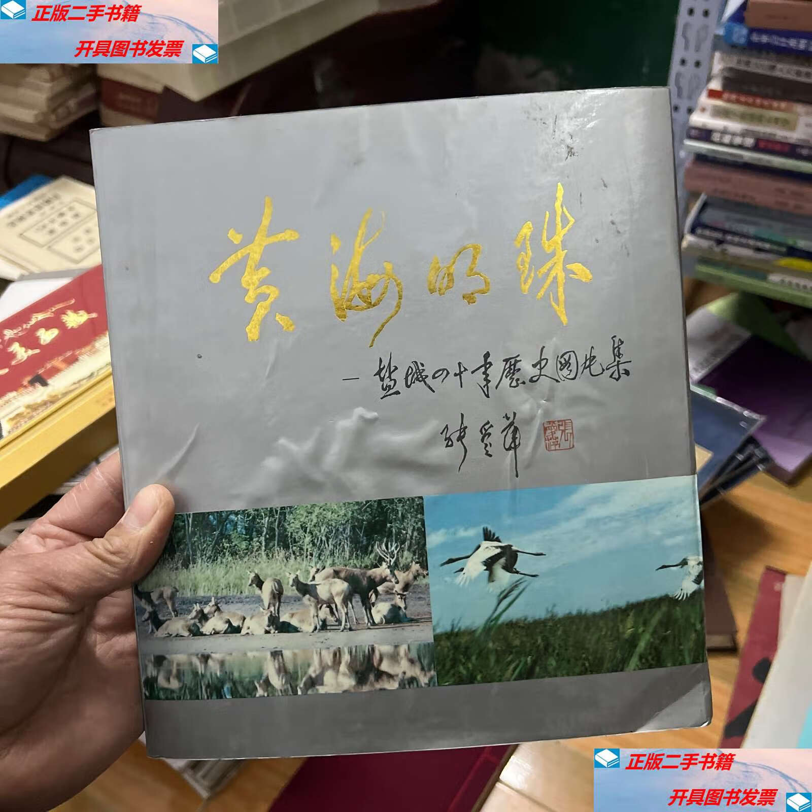 【二手9成新】黄海明珠-盐城四十年历史图片集 /《盐城四十年历史图片