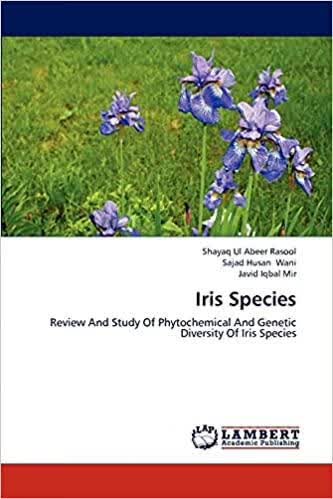 现货Iris Species