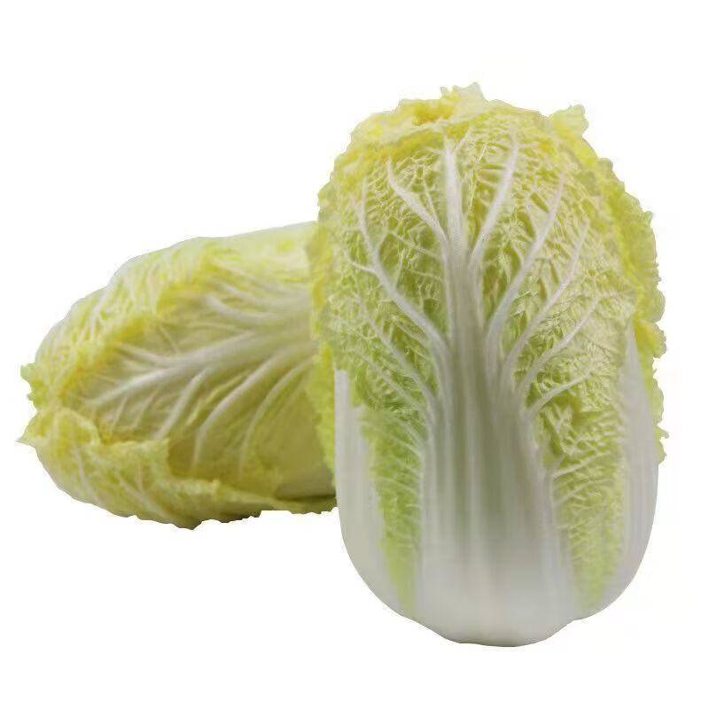 东北大白菜包心白菜黄心白菜冬储菜火锅白菜特价大白菜批发10斤 东北
