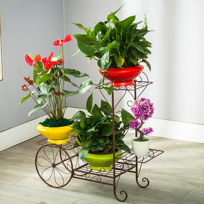 天味德 欧必翼特价欧式铁艺花架多层室内花盆架绿萝吊兰阳台落地花