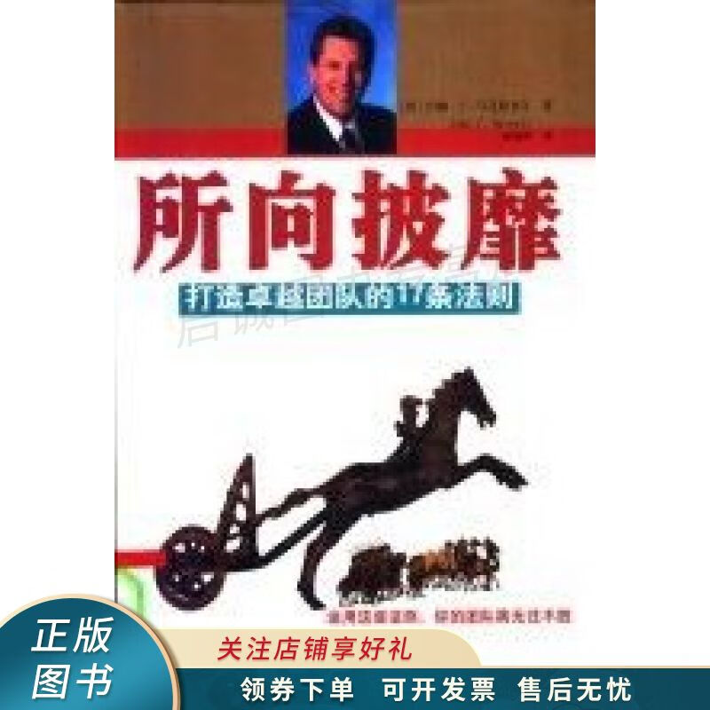 所向披靡打造卓越团队的17条法则【稀缺图书,放心购买】