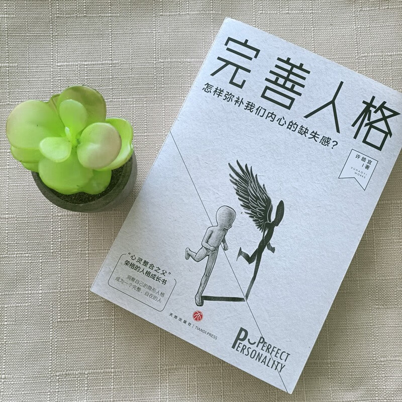 完善人格：怎样弥补我们内心的缺失感？大众心理学书籍人格荣格阴影认识自己天地出版社