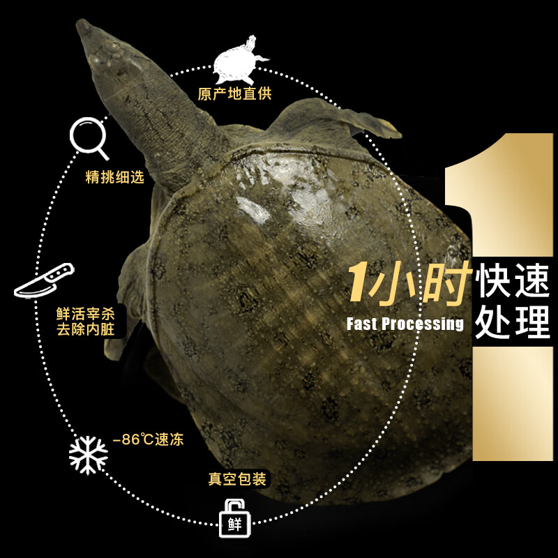 简鲜大甲鱼王八中华鳖水团鱼 宰杀海鲜水产年货送礼盒装 350g*4只（宰杀净膛款）
