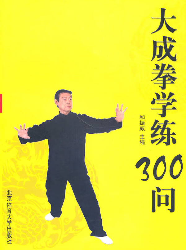 大成拳学练300问【正版图书】