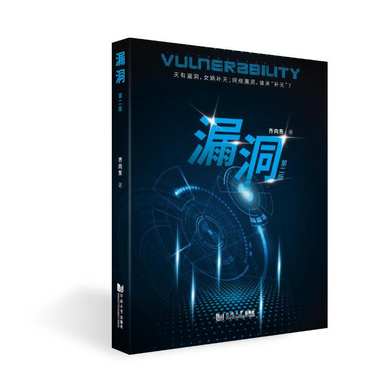 漏洞 第2版