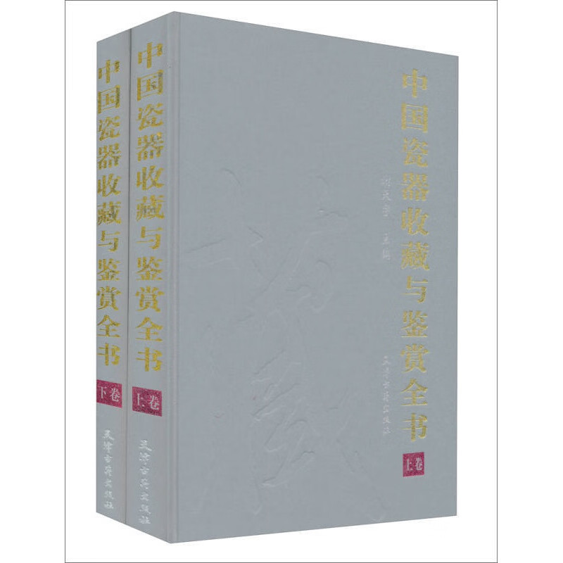 中国瓷器收藏与鉴赏全书 下 谢天宇