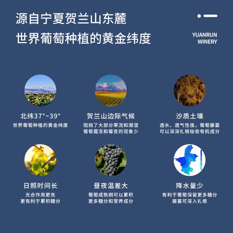 圆润(YUAN RUN)宁夏贺兰山东麓 圆润606经典赤霞珠干红葡萄酒 国产红酒 750ml 宝石红 整箱6支装