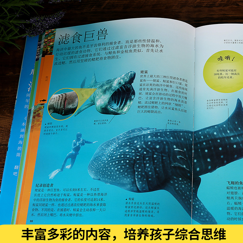 正版dk儿童海洋百科全书 儿童海洋生物百科全书大百科 少儿揭秘海底