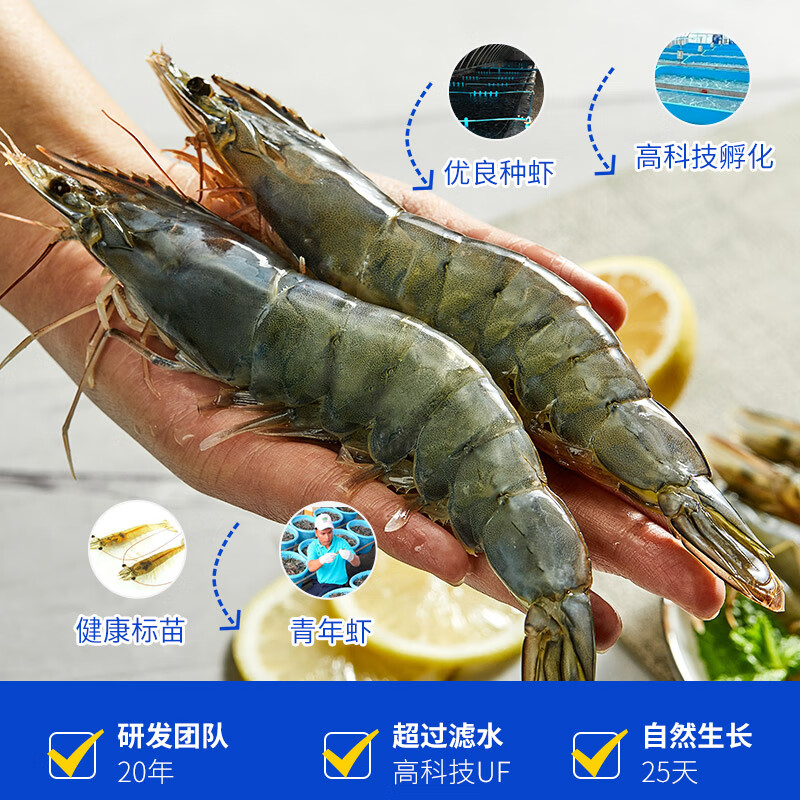 CP 正大 对虾 新鲜大虾  1.4kg*2盒 【26/30】17-20cm/只 速冻 鲜活海鲜 特大白虾 海虾