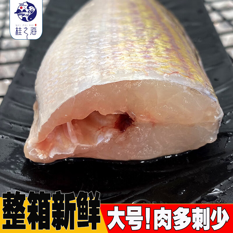 桂之海 桂广西马头鱼新鲜冷冻深海鱼去鳞鳃去内脏免处理特大号甘鲷鱼方头鱼 3条（420-500克/条）新鲜杀好