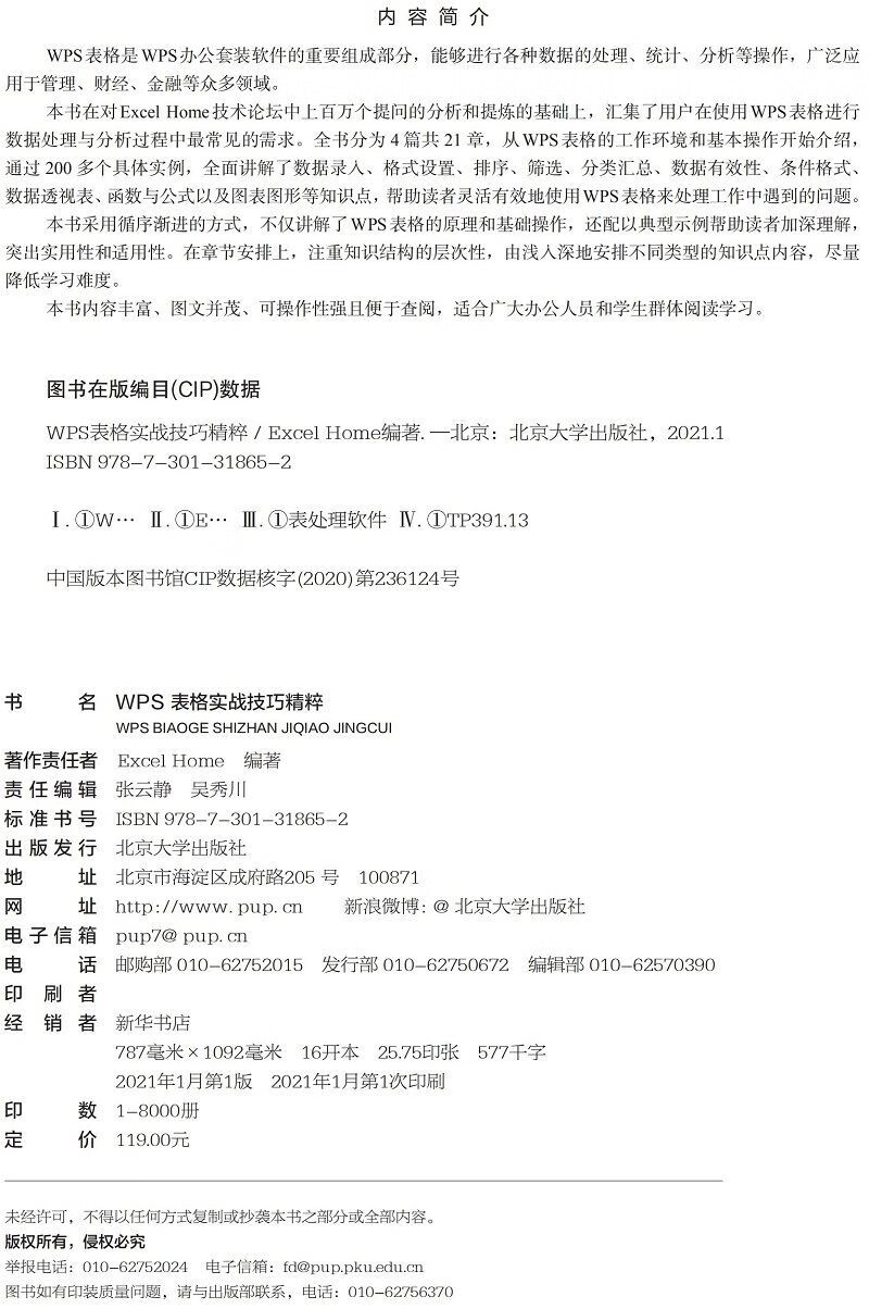 WPS表格实战技巧精粹 WPS官方认证 ExcelHome出品 全彩高效办公书