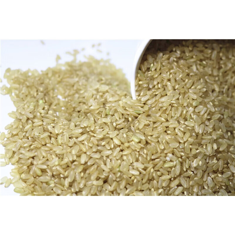 虎钢馋东北稻花香糙米斤装玄米发芽米新米杂粮五谷饭五常粳米