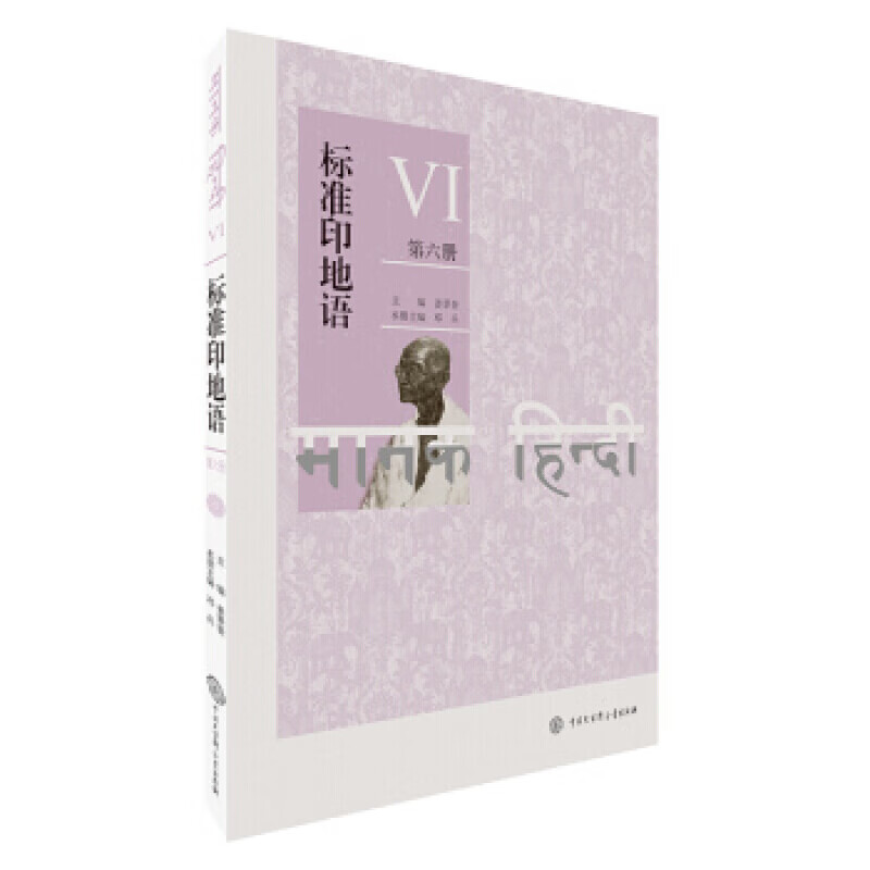 标准印地语（第六册）