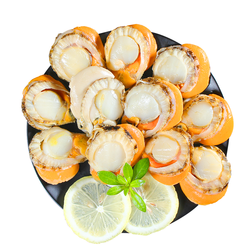 富海锦冷冻特大号带黄扇贝肉价格走势及评价推荐|贝类网购商品历史价格查询