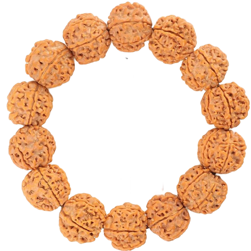 ִԭִŮƷ 18mm14š19.9Ԫ