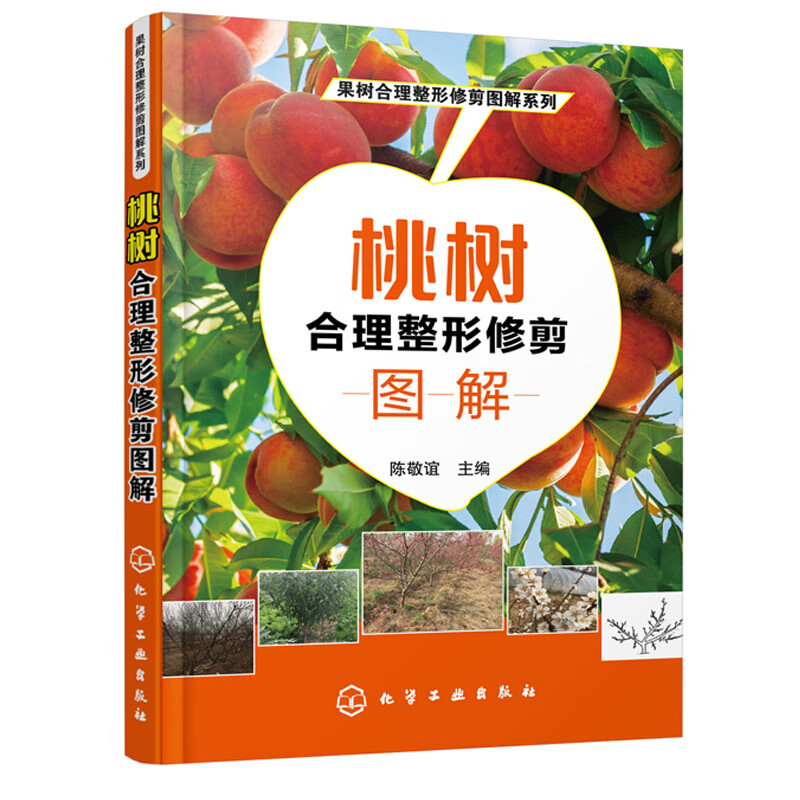 桃树合理整形修剪图解 桃树合理整形修剪图解 本书以图文并茂的方式介绍果树整形修剪的基础书籍