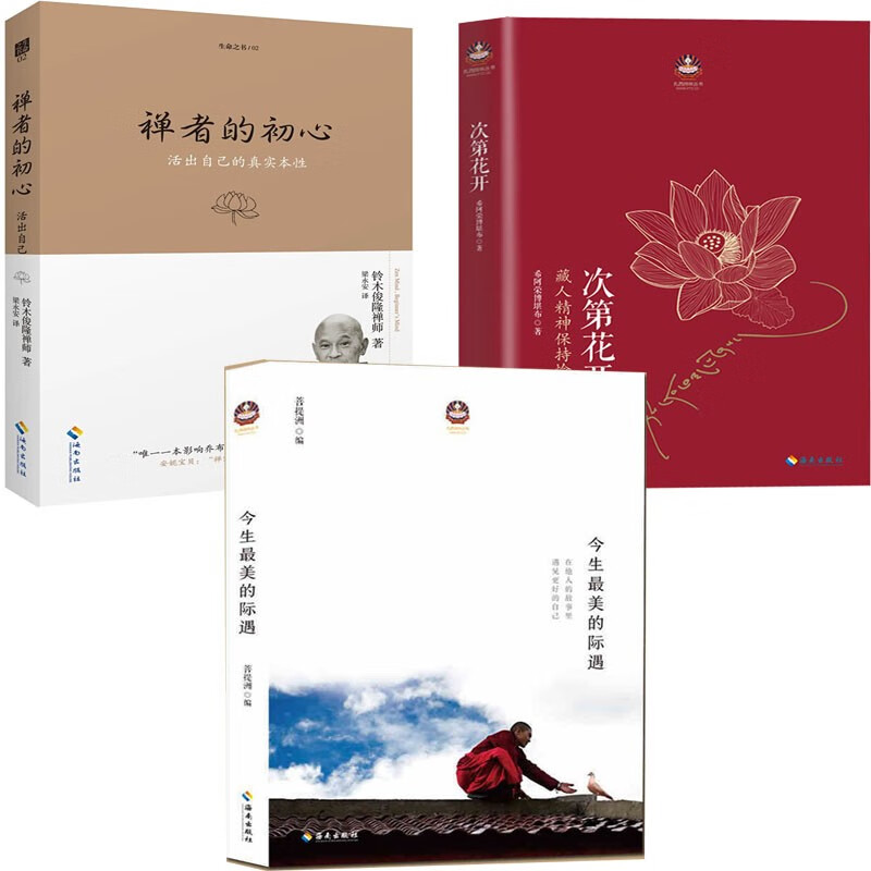 正版 次第花开+清凉山上+今生的际遇（共三册）透过佛法看 佛教佛学书籍 佛书初学者入门 禅修佛法