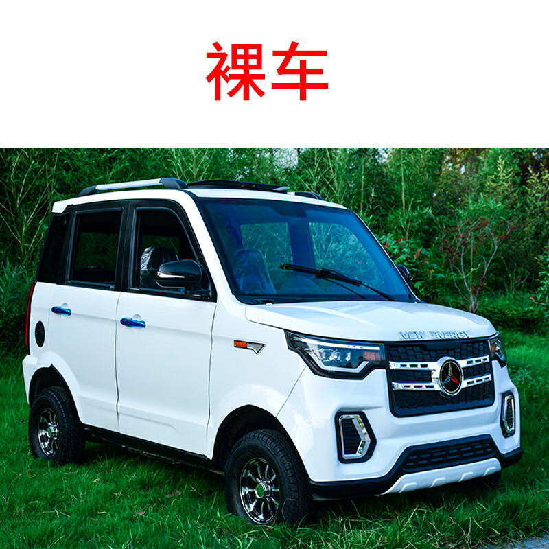 四轮电动车家用日常代步车小型新能源接送油电两用封闭电瓶车裸车 60v
