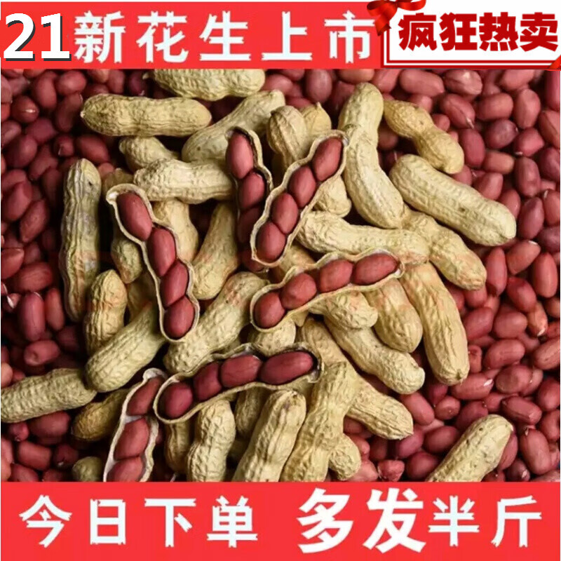 连环马红皮花生花生带壳生米 四粒红衣花生种子高产籽新鲜货晒干种植