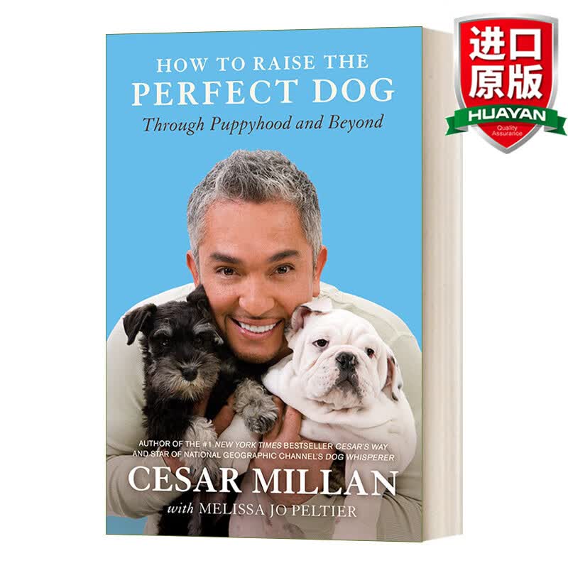 How to Raise the Perfect Dog 英文原版 如何培养完美的狗 从幼犬期到之后 著名狗行为学家塞Cesar Millan 英文版 进口英语书籍怎么看?