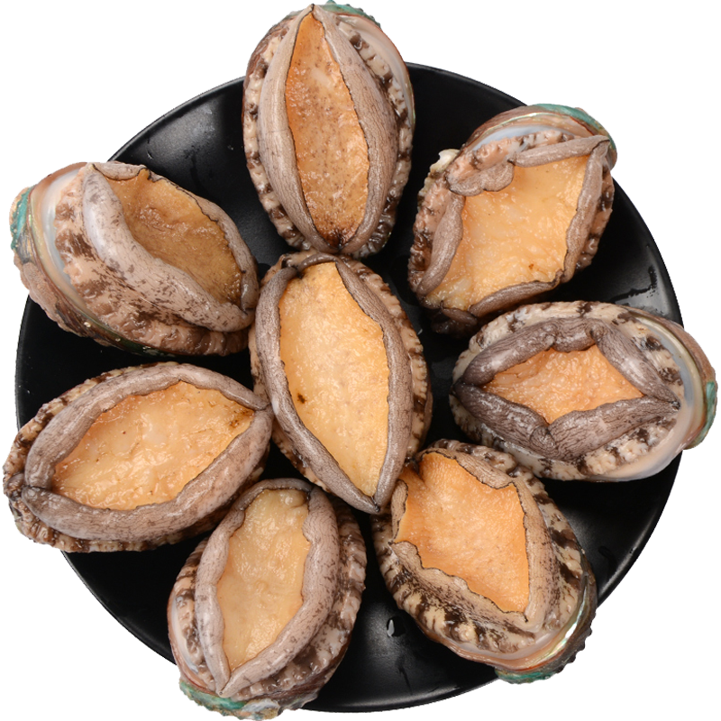 ���ڲ������ʰ�ͷ�� �ൺ�ʻ���㺣�� ��ű����ʻ��䶳���ʱ������տ��ش��� ����� ����1000g ��16-24ͷ