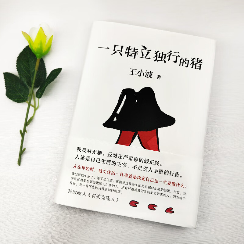 一只特立独行的猪 精装 王小波著现当代文学散文随笔读物杂文集畅销书排行榜一直特立独行的猪 北京十月