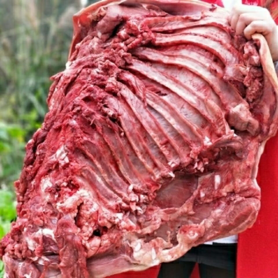 贵州现杀土黄牛肉新鲜带皮小黄牛勒条肉带皮5斤装 2500g